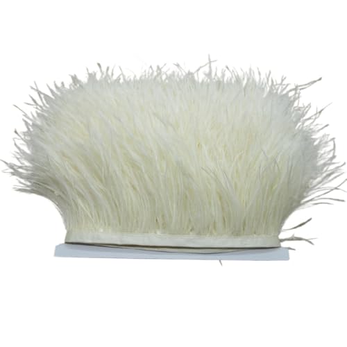 Straußenfederbesatz, Fransenfederband, 7,6–10,2 cm, 8–10 Breite, Nähen, Basteln, Kostüme, Dekoration für Bastelarbeiten Hochzeit Party Dekoration(Beige,5 Yards) von ZYFHYU
