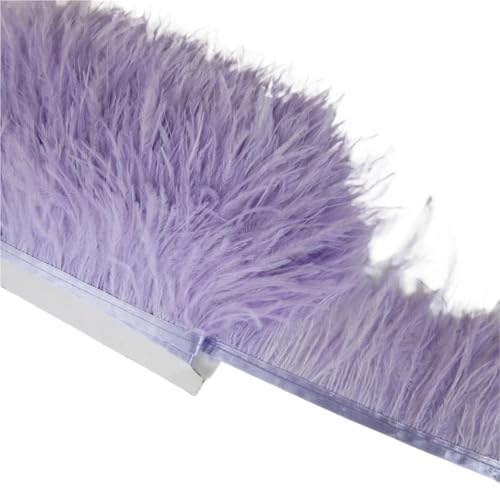 Straußenfederbesatz, Fransenfederband, 7,6–10,2 cm, 8–10 Breite, Nähen, Basteln, Kostüme, Dekoration für Bastelarbeiten Hochzeit Party Dekoration(Light Purple,10 Yards) von ZYFHYU