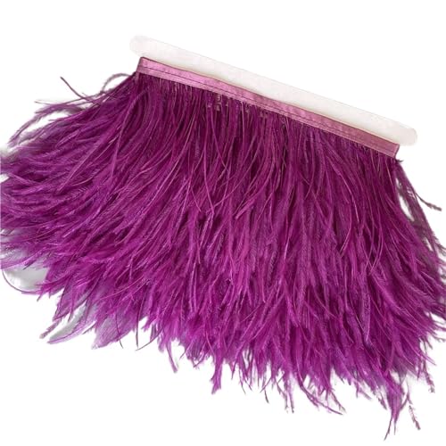 Straußenfedern-Besatz, 13–18 cm, 12,7–17,8 , Federfahnenband for DIY-Hochzeitskleid, Dekoration, Bastelzubehör für Bastelarbeiten Hochzeit Party Dekoration(8,2 Meters) von ZYFHYU