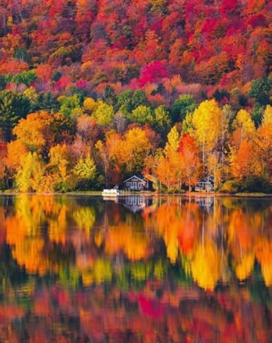 1000 Stück ,Autumn Landscapes Plakate ,Fun Kunst-Puzzle ,Personalised Adult Puzzle Toy ,Spiele Zur Stressreduktion In Der Familie Xy121Zw 1000 Stück ,Autumn Landscapes Plakate ,Fun Kunst-Puzzle ,Personalised Adult Puzzle Toy ,Spiele Zur Stressreduktion In Der Familie Xy121Zw von ZYHDK