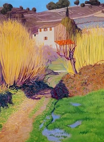 1000 Stück Puzzle ，Erwachsenen-Dekompressions Spiel ，Gedächtnis- Und Kognitions Spiele，Felixs Vallotton Reproductions Plakate Gifts Xy518Zw von ZYHDK