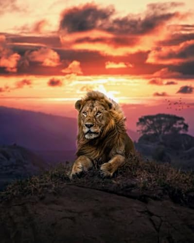 Animal Lionss Posters - Lernspielzeug Für Die Ganze Familie - Spiele Zur Stressreduzierung Für Die Ganze Familie - Puzzle-Herausforderungs Spiel Für Erwachsene - 1000 Stück Puzzle - Kw10Zk Animal Lionss Posters - Lernspielzeug Für Die Ganze Familie - Spiele Zur Stressreduzierung Für Die Ganze Familie - Puzzle-Herausforderungs Spiel Für Erwachsene - 1000 Stück Puzzle - Kw10Zk von ZYHDK