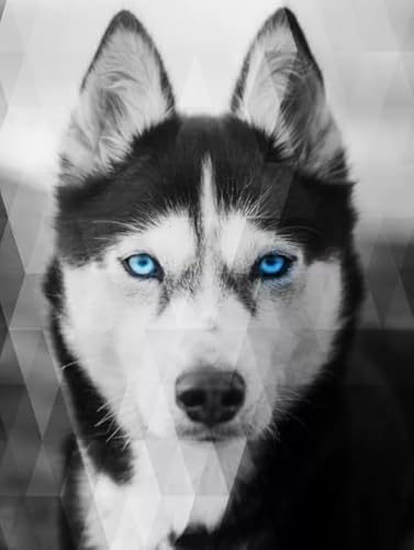 Irregular Kunst-Puzzle - Huskys Dogs Posters - Lustiges Spielzeug Für Ältere Menschen - Familien-Lernspiel Zum Gedächtnis - Puzzle 1000 Stück Gifts - Kw186Zk von ZYHDK