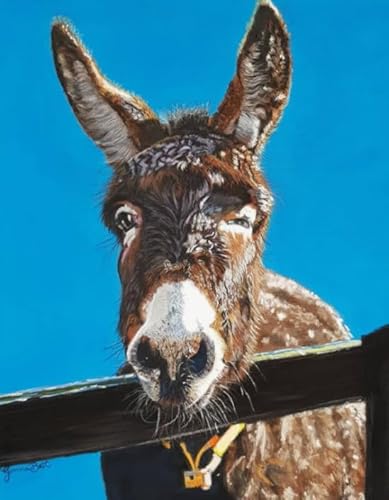 Kunst-Puzzle - Animal Donkeys Posters - Adult Personalisiertes Challenge-Spielzeug - Spielzeug Zur Stressreduzierung Für Die Familie Gifts - Puzzles 1000 Stück - Kw156Zk von ZYHDK