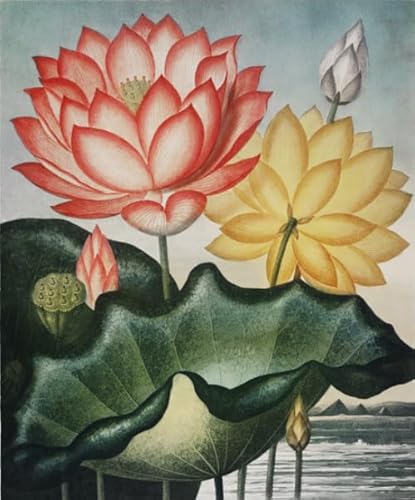Puzzle 1000 Stück ,Chinese Style Lotuss Washs Painting ,Fun Puzzle ,Stressabbau-Spiele Für Die Ganze Familie,Spielzeug Für Erwachsene ,Home Wand Dekoration Xy554Zw Puzzle 1000 Stück ,Chinese Style Lotuss Washs Painting ,Fun Puzzle ,Stressabbau-Spiele Für Die Ganze Familie,Spielzeug Für Erwachsene ,Home Wand Dekoration Xy554Zw von ZYHDK