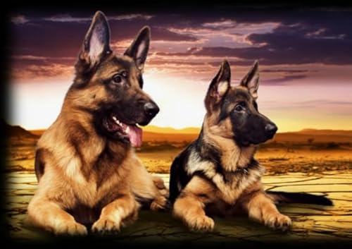 Puzzle 1000 Stück - German Shepherds Oil Painting Dog - Unregelmäßige Rätsel - Memory-Spiels for Adults - Spielzeug Zum Stressabbau Für Die Ganze Familie Gifts Zx256Ap Puzzle 1000 Stück - German Shepherds Oil Painting Dog - Unregelmäßige Rätsel - Memory-Spiels for Adults - Spielzeug Zum Stressabbau Für Die Ganze Familie Gifts Zx256Ap von ZYHDK