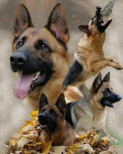 Puzzle 1000 Stück - German Shepherds Oil Painting Dog - Unregelmäßige Rätsel - Memory-Spiels for Adults - Spielzeug Zum Stressabbau Für Die Ganze Familie Gifts Zx259Ap Puzzle 1000 Stück - German Shepherds Oil Painting Dog - Unregelmäßige Rätsel - Memory-Spiels for Adults - Spielzeug Zum Stressabbau Für Die Ganze Familie Gifts Zx259Ap von ZYHDK