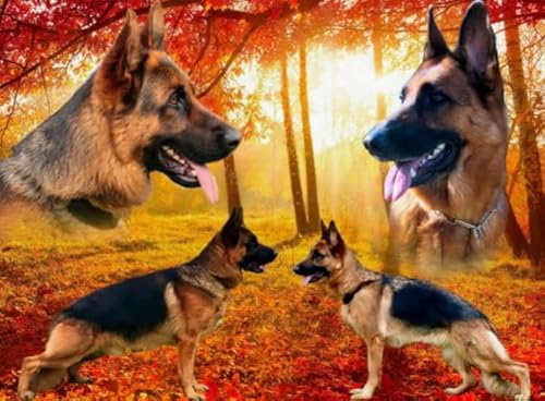 Puzzle 1000 Stück - German Shepherds Oil Painting Dog - Unregelmäßige Rätsel - Memory-Spiels for Adults - Spielzeug Zum Stressabbau Für Die Ganze Familie Gifts Zx260Ap Puzzle 1000 Stück - German Shepherds Oil Painting Dog - Unregelmäßige Rätsel - Memory-Spiels for Adults - Spielzeug Zum Stressabbau Für Die Ganze Familie Gifts Zx260Ap von ZYHDK