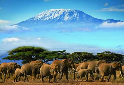 Puzzle 1000 Stück - Mounts Kilimanjaros Landscapes Posters - Lernspielzeug Puzzle Für Erwachsene - Gedächtnis- Und Wahrnehmungs Spiele Für Ältere Menschen - Kw02Zk von ZYHDK