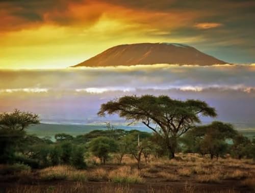 Puzzle 1000 Stück - Mounts Kilimanjaros Landscapes Posters - Lernspielzeug Puzzle Für Erwachsene - Gedächtnis- Und Wahrnehmungs Spiele Für Ältere Menschen - Kw04Zk Puzzle 1000 Stück - Mounts Kilimanjaros Landscapes Posters - Lernspielzeug Puzzle Für Erwachsene - Gedächtnis- Und Wahrnehmungs Spiele Für Ältere Menschen - Kw04Zk von ZYHDK