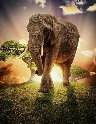 Puzzles 1000 Stück - Animal elephantss Posters - Kunst-Puzzle - Lustige Alzheimer-Spiele Für Erwachsene - Spielzeug Zur Stressreduzierung Für Die Familie - Kw47Zk Puzzles 1000 Stück - Animal elephantss Posters - Kunst-Puzzle - Lustige Alzheimer-Spiele Für Erwachsene - Spielzeug Zur Stressreduzierung Für Die Familie - Kw47Zk von ZYHDK