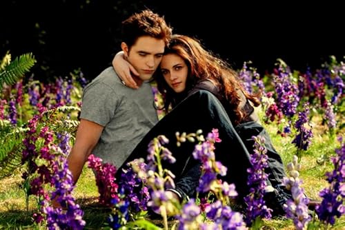 Puzzles 1000 Stück - Film Twilights Posters - Personalisierte Herausfürderungs-Spielzeuge Für Erwachsene - Für Spielzeug Zur Stressreduktion In Der Familie Gifts - Vs79Pw von ZYHDK