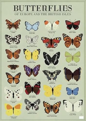 Vintage Butterflys Illustrations - Lernspielzeug Puzzle Für Erwachsene - Gedächtnis- Und Wahrnehmungs Spiele Für Ältere Menschen - Puzzle 1000 Stück Gifts - Kw241Zk Vintage Butterflys Illustrations - Lernspielzeug Puzzle Für Erwachsene - Gedächtnis- Und Wahrnehmungs Spiele Für Ältere Menschen - Puzzle 1000 Stück Gifts - Kw241Zk von ZYHDK