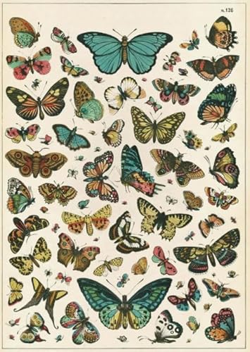 Vintage Butterflys Illustrations - Lernspielzeug Puzzle Für Erwachsene - Gedächtnis- Und Wahrnehmungs Spiele Für Ältere Menschen - Puzzle 1000 Stück Gifts - Kw244Zk von ZYHDK