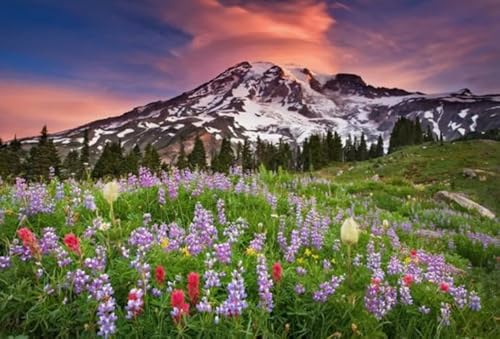 ZYHDK 1000 Stück ，Unregelmäßiges Kunst Puzzle ，Flowers Landscapes Posters ，Spiele Zur Stressreduzierung Für Die Ganze Familie,Herausforderungs Spiel Für Erwachsene,Zw235Yt von ZYHDK