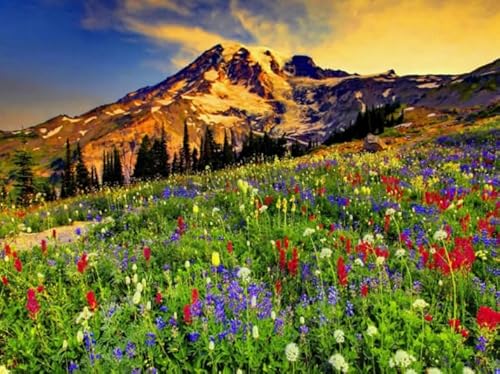 ZYHDK 1000 Stück ，Unregelmäßiges Kunst Puzzle ，Flowers Landscapes Posters ，Spiele Zur Stressreduzierung Für Die Ganze Familie,Herausforderungs Spiel Für Erwachsene,Zw237Yt von ZYHDK