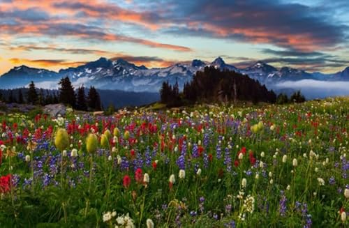 ZYHDK 1000 Stück ，Unregelmäßiges Kunst Puzzle ，Flowers Landscapes Posters ，Spiele Zur Stressreduzierung Für Die Ganze Familie,Herausforderungs Spiel Für Erwachsene,Zw239Yt von ZYHDK