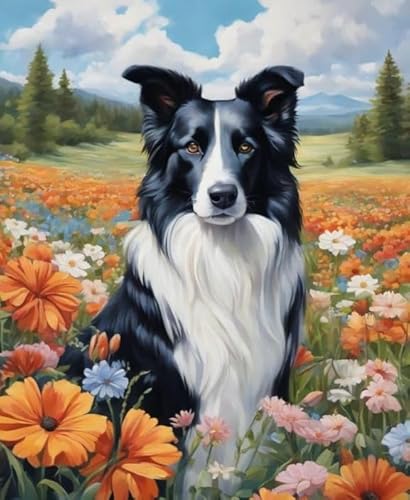 ZYHDK 1000 Stück - Puzzle - Bordercollie Picture - Memory-Spiele Für Die Ganze Familie - for Lernspielzeug Für Ältere Menschen - Home Decor - Jz61Ap von ZYHDK