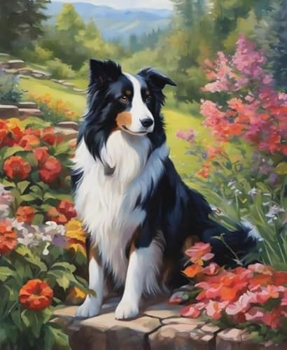 ZYHDK 1000 Stück - Puzzle - Bordercollie Picture - Memory-Spiele Für Die Ganze Familie - for Lernspielzeug Für Ältere Menschen - Home Decor - Jz63Ap ZYHDK 1000 Stück - Puzzle - Bordercollie Picture - Memory-Spiele Für Die Ganze Familie - for Lernspielzeug Für Ältere Menschen - Home Decor - Jz63Ap von ZYHDK
