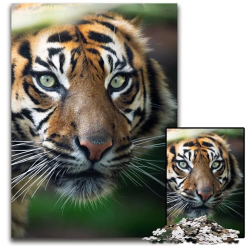 1000-teiliges Puzzle mit Tiergesicht und Tiger Holzpuzzle für Erwachsene Weihnachten Halloween Ostern Neujahr 1000 Teile (75 x 50 cm) von ZZQWIPEIS