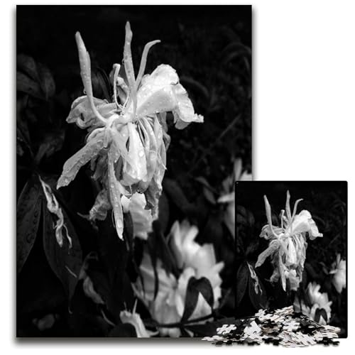 After Rain 1000-teiliges Puzzle für Erwachsene Puzzles für Erwachsene zur Heimdekoration Gehirntraining 1000 Teile (75 x 50 cm) von ZZQWIPEIS