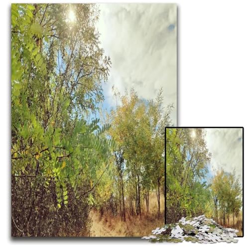 EIN Blick auf das Paradies Puzzle für Erwachsene 1000 Puzzles für Erwachsene perfekt als Geburtstags- Weihnachts 1000 Teile (75 x 50 cm) von ZZQWIPEIS