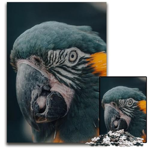 Niedliches Puzzle mit Tiergesicht und Papagei 1000 Teile anspruchsvolle Puzzles kreatives Familienspiel und Heimdekoration Teenager 1000 Teile (75 x 50 cm) von ZZQWIPEIS