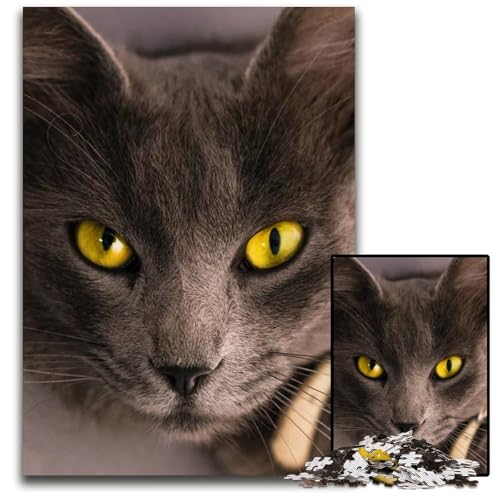 Puzzle 1000 Teile für Erwachsene Tiergesicht braune Katze Holzpuzzle Denksportaufgabe und Heimdekoration 1000 Teile (75 x 50 cm) von ZZQWIPEIS