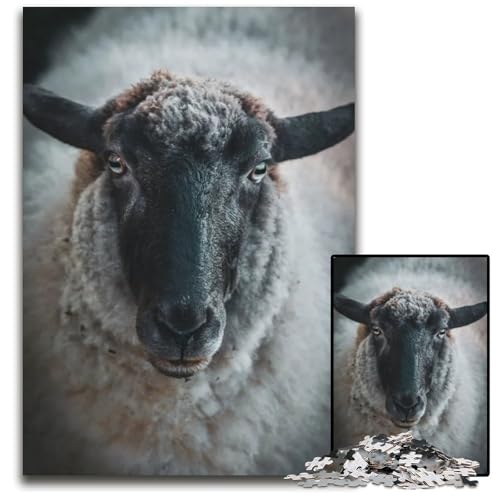 Puzzle mit 1000 Teilen Tiergesicht Schaf Schwarz Holzpuzzle anspruchsvolles Denkspiel für Teenager Spaß am Familienspielabend 1000 Teile (75 x 50 cm) von ZZQWIPEIS