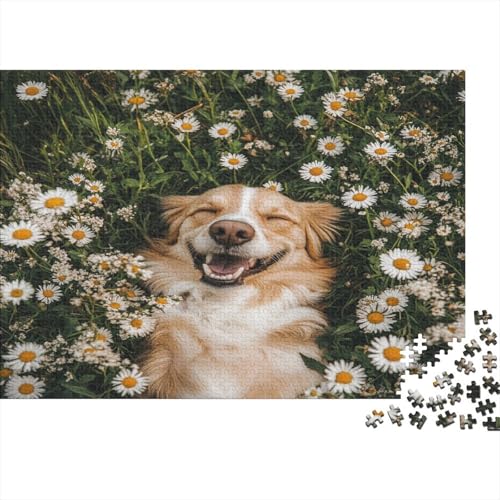 Cute Cat1000 Erwachsene Puzzleteile, 1000 Pädagogische Puzzleteile, Heimdekoration Puzzleteile, 1000 Stücke1000pcs (75x50cm) von ZZVRMCYLD