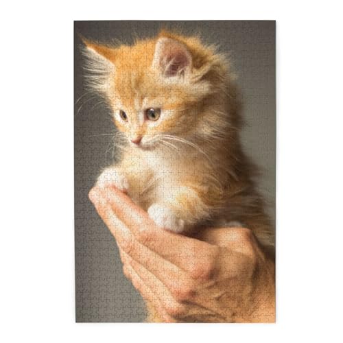 Fluffy Cute Kitty Print Jigsaw Puzzle 1000 Piece Wooden Jigsaw Puzzles Personalized Puzzle Family Game von ZaKhs