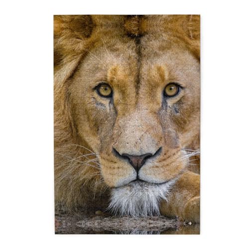 Lion Resting Free Stock Print Jigsaw Puzzle 1000 Piece Wooden Jigsaw Puzzles Personalized Puzzle Family Game von ZaKhs