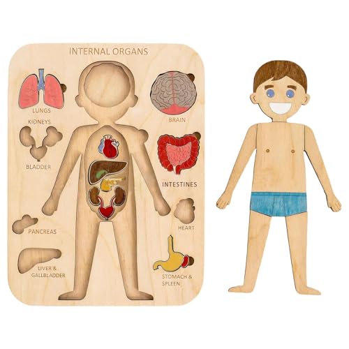 Körperpuzzle, Holzpuzzle Organstruktur des Menschlichen Körpers, Anatomie Puzzle Für Kinder Von 3 Bis 5 Jahren, Vorschulspiel Zum Lernen Menschlicher Körperteile Für Kinder Im Vorschulalter Körperpuzzle, Holzpuzzle Organstruktur des Menschlichen Körpers, Anatomie Puzzle Für Kinder Von 3 Bis 5 Jahren, Vorschulspiel Zum Lernen Menschlicher Körperteile Für Kinder Im Vorschulalter von Zankie