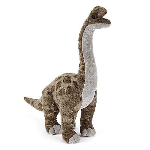 Zappi Co Brachiosaurusrus-Dinosaurier, für Kinder, gefüllt, weich, kuschelig, 40 cm, Safari-Tier-Kollektion von Zappi Co