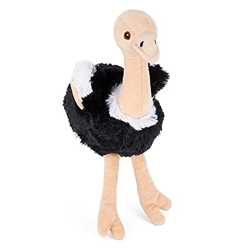 Zappi Co Kinder Kuschelweiches Plüschtier - Perfekte kuschelige Spielgefährten für Kinder Geburtstage und besondere Anlässe(12-15cm) (Strauß) von Zappi Co