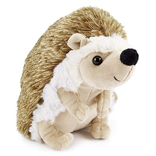 Zappi Co Plüsch Kinder Kuscheltier Weiches Kuschel Plüschtier - Teil der Safari-Tiere-Kollektion, Perfekt für Kinder(22cm)(Igel) von Zappi Co