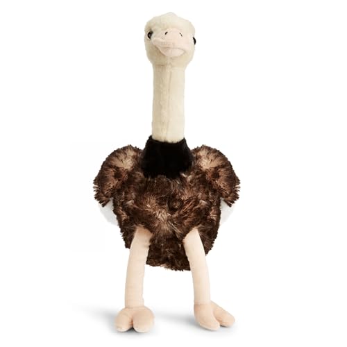 Zappi Co Straussi der Strauß Plüschtier Großer Vogel (22cm) Langbeiniger Kumpel - Weich, Kuschelig, 100% Recycelt - Flugunfähiger Federfreund von Zappi Co