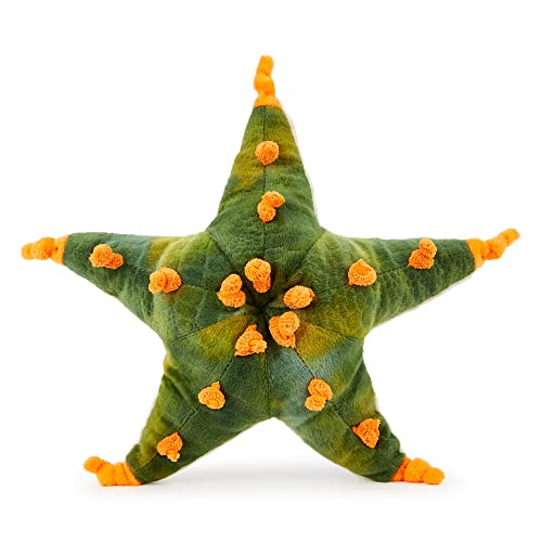 Zappi Co Weich gefülltes Kuscheltier für Kinder Grüner und orangefarbener Nobbly-Seestern Plüschtier (23-25 cm) Safari-Tiere Kollektion Plüschteddy Neugeborenes erstes Kind von Zappi Co