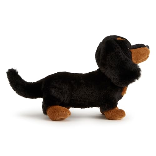 Zappi Co Daisy der Dackel Plüschhund (20 cm) - Wursthund-Delight - Weich, Kuschelig, Recycelt - Niedlicher Langer Freund von Zappi Co