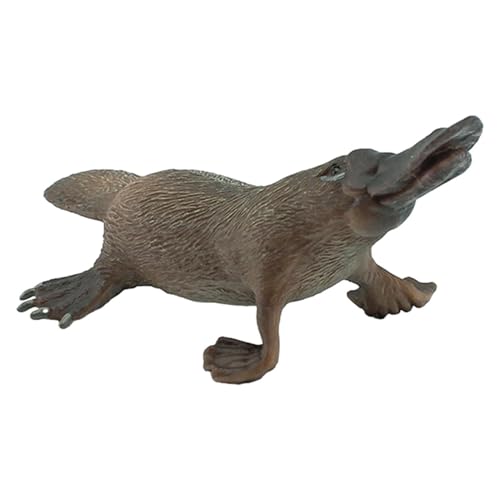 Zasdvn Schnabeltier Figur - Wildlife Figuren Modell Spielsets - Simulierte Tiermodelle Schnabeltier, Schnabeltierspielzeug, Schnabeltierfigur Lernspielzeug für Mädchen und Zasdvn Schnabeltier Figur - Wildlife Figuren Modell Spielsets - Simulierte Tiermodelle Schnabeltier, Schnabeltierspielzeug, Schnabeltierfigur Lernspielzeug für Mädchen und von Zasdvn