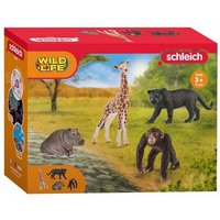 Schleich Wild Life 4er-Pack 15x19cm von Zentrada