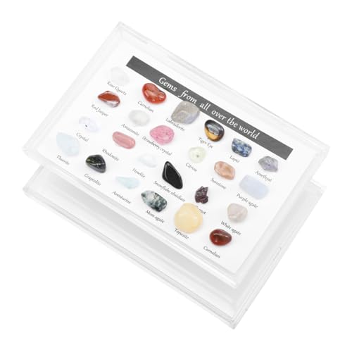 Zerodeko 1 Schachtel Erz Proben Schreibtisch Natürlich Kleine Kiesel Steinsammlung Steindekor Kleine Kristallmasse Kleiner Unregelmäßiger Stein Steine zum Basteln Bunt Kunststoff-box Zerodeko 1 Schachtel Erz Proben Schreibtisch Natürlich Kleine Kiesel Steinsammlung Steindekor Kleine Kristallmasse Kleiner Unregelmäßiger Stein Steine zum Basteln Bunt Kunststoff-box von Zerodeko