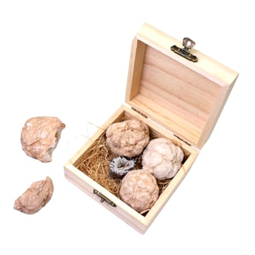 Zerodeko 1 Schachtel grabe und entdecke Edelsteine Mineralgesteinsset Bausatz zum Graben von Steinen Geoden-Kit Rock-Sammlung Edelstein-Grabset für Kristallachaterz von Zerodeko