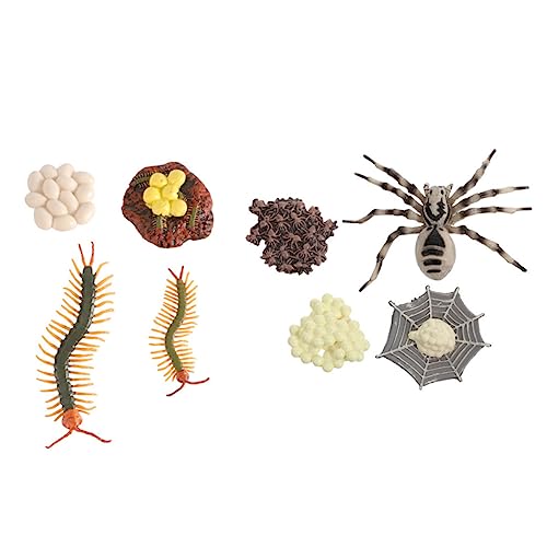Zerodeko 2 Sätze Evolution Model Tarantula Lebenszyklus Modelle Kognitive Spielzeuge Realistische Tierfiguren für Kreatives Lernen Naturverständnis Zerodeko 2 Sätze Evolution Model Tarantula Lebenszyklus Modelle Kognitive Spielzeuge Realistische Tierfiguren für Kreatives Lernen Naturverständnis von Zerodeko