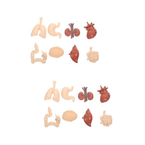 Zerodeko 2 Sätze Körpermodell Teiliges Lernspielzeug für Kognitive Anatomisches Lehrmittel für Unterricht Realistische Nachbildung Inneren Zerodeko 2 Sätze Körpermodell Teiliges Lernspielzeug für Kognitive Anatomisches Lehrmittel für Unterricht Realistische Nachbildung Inneren von Zerodeko
