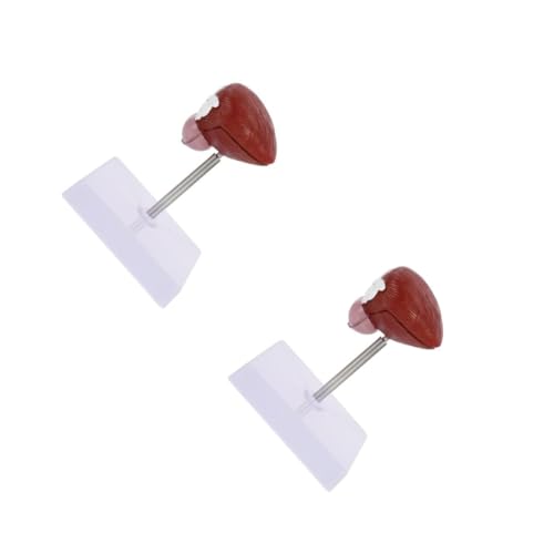 Zerodeko 2 Stck. Blasenanatomie -Modell Biologische Lehre medizinisches anatomisches Modell lebensechtes anatomisches Blasenmodell anatomisches Lehrmodell Anatomie -Modelle Plastik Zerodeko 2 Stck. Blasenanatomie -Modell Biologische Lehre medizinisches anatomisches Modell lebensechtes anatomisches Blasenmodell anatomisches Lehrmodell Anatomie -Modelle Plastik von Zerodeko