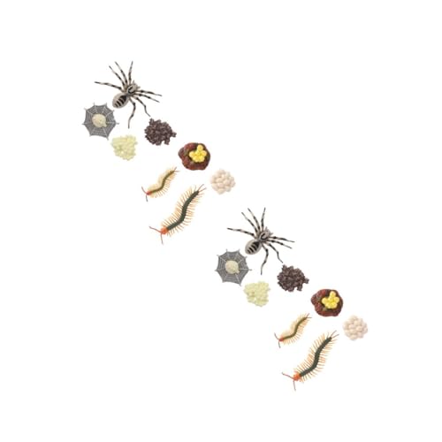 Zerodeko 4 Sätze Evolution Modelle von Tarantel Lebenszyklus Spielzeugfiguren für Realistische Tiermodelle zur Kognitiven Entwicklung Naturverständnis von Zerodeko