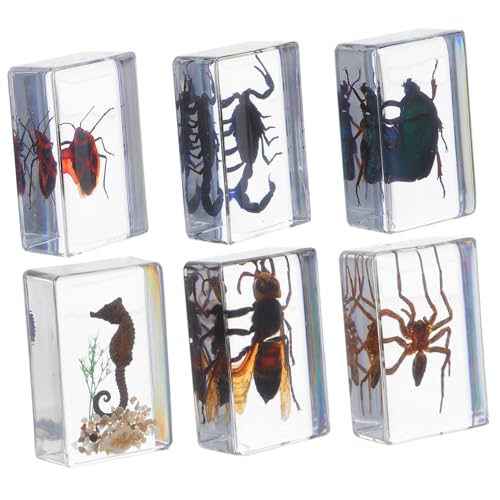 Zerodeko 6 Stück Teiliges Resin Insektenpräparat mit Detaillierter Handwerkskunst Dekorative Sammlerstücke und Funktionale Briefbeschwerer für Wissenschaftliche Bildung Büro Zerodeko 6 Stück Teiliges Resin Insektenpräparat mit Detaillierter Handwerkskunst Dekorative Sammlerstücke und Funktionale Briefbeschwerer für Wissenschaftliche Bildung Büro von Zerodeko
