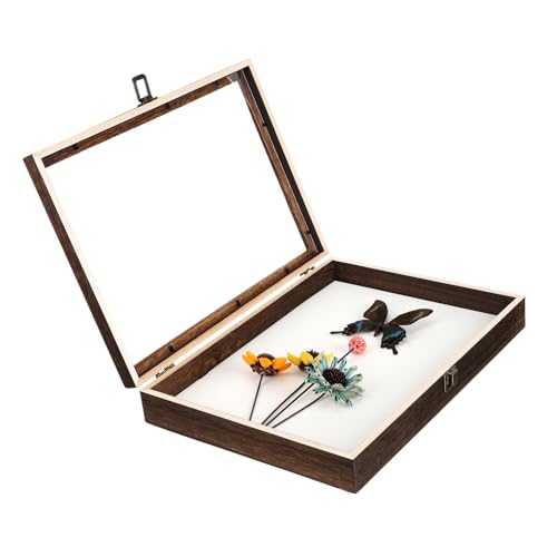 Zerodeko Box Exemplar Ausstellungsbox Rahmen Sammlungsvitrine Museums Exemplar Ausstellungsvitrine Großer Exemplar Koffer Exemplar Behälter Exemplar Halter Holz Exemplar von Zerodeko