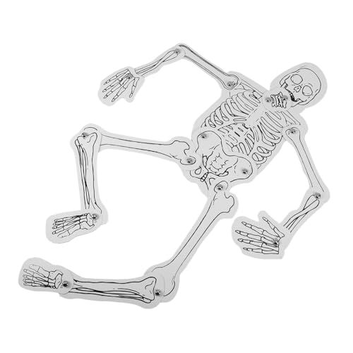 Zerodeko Human Skeleton Modell Bausatz DIY Lehrreiches Lernset zur Knochenmontage Kompaktes Modell für Schüler und Lehrer Interaktives Skelett Lernspielzeug für Unterricht und von Zerodeko